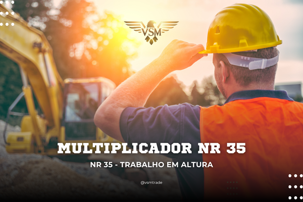 Treinamento Multiplicador NR 35