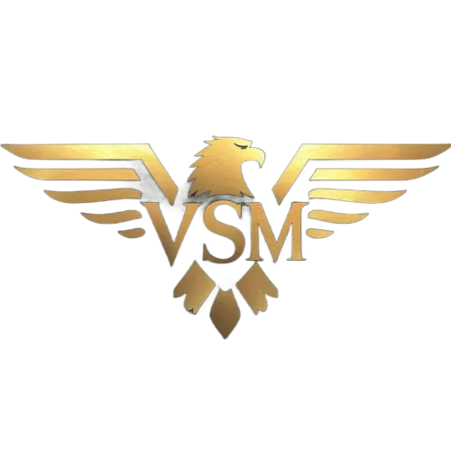 logo_vsm